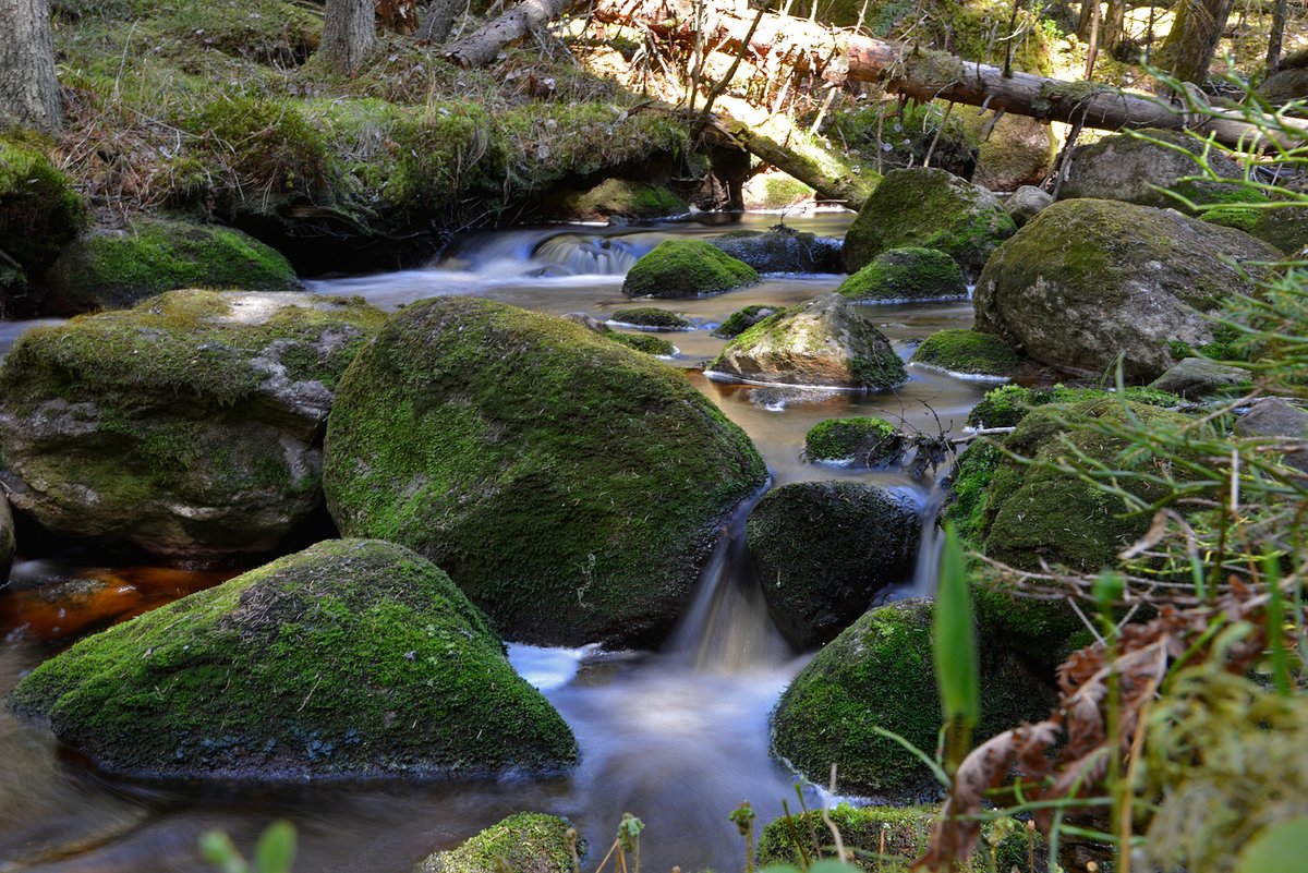 Syyslomalla #Katikankanjonissa koko perheen voimin:
areena.yle.fi/1-3834691 
Juttu alkaa kohdasta 2:40
<a href="/Yle_Pohjanmaa/">Yle Pohjanmaa</a>
#lhgeopark
#unescogeoparks
#europeangeoparks
#retkeily
#syysloma

Kuva: Terttu Hermansson