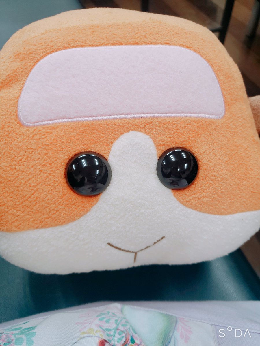 b_calendula's tweet photo. なんかいた https://t.co/6rRqrdBO2a