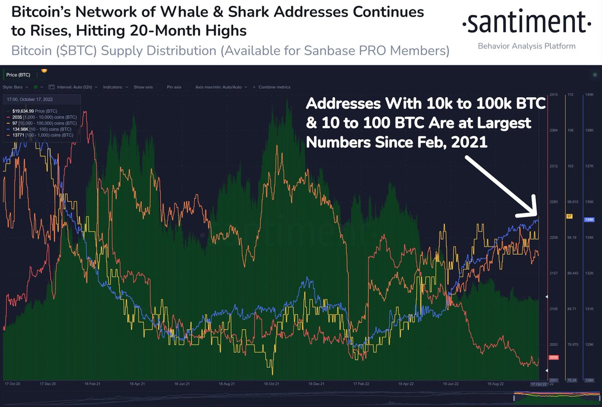 Santiment_Greek's tweet photo. 🐳🦈 Ο αριθμός των διευθύνσεων #Bitcoin που κατέχουν 10.000 έως 100.000 $BTC και οι διευθύνσεις με 10 έως 100 $BTC έχουν φτάσει στο υψηλότερο ποσό των αντίστοιχων διευθύνσεων από τον Φεβρουάριο του 2021. Καθώς ο αριθμός των διευθύνσεων σε ένα δίκτυο αυξάνεται, ...

1/2 https://t.co/9woyyzN4SX