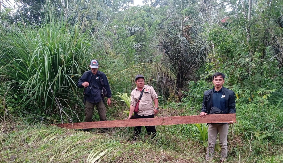 Yayasan Scorpion Indonesia bersama dengan Balai Margasatwa (BKSDASU Area V Sipirok) dan masyarakat setempat melakukan patroli bersama secara rutin di dua desa (Gapuktua, Marancar Godang) di Kecamatan Marancar Godang, Kabupaten Tapanuli Selatan.