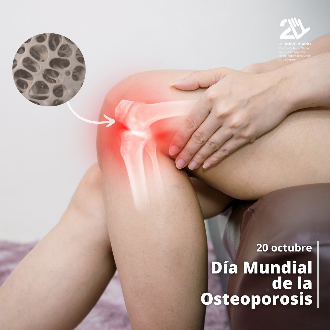 COFIRMoficial's tweet photo. 🟤 Hoy es el Día Mundial de la #Osteoporosis, destacamos el papel clave de la #Fisioterapia para mejorar la calidad de vida de los pacientes con esta afección.
#CoFIRM #FisioterapiaMurcia #FisioterapeutasMurcia https://t.co/JUMjUBRxnu