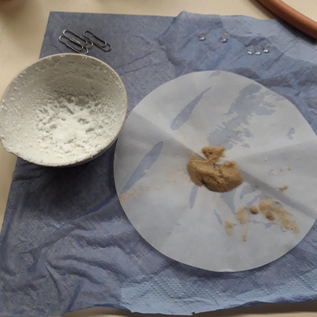 St Margaret's Academy Science tweet media