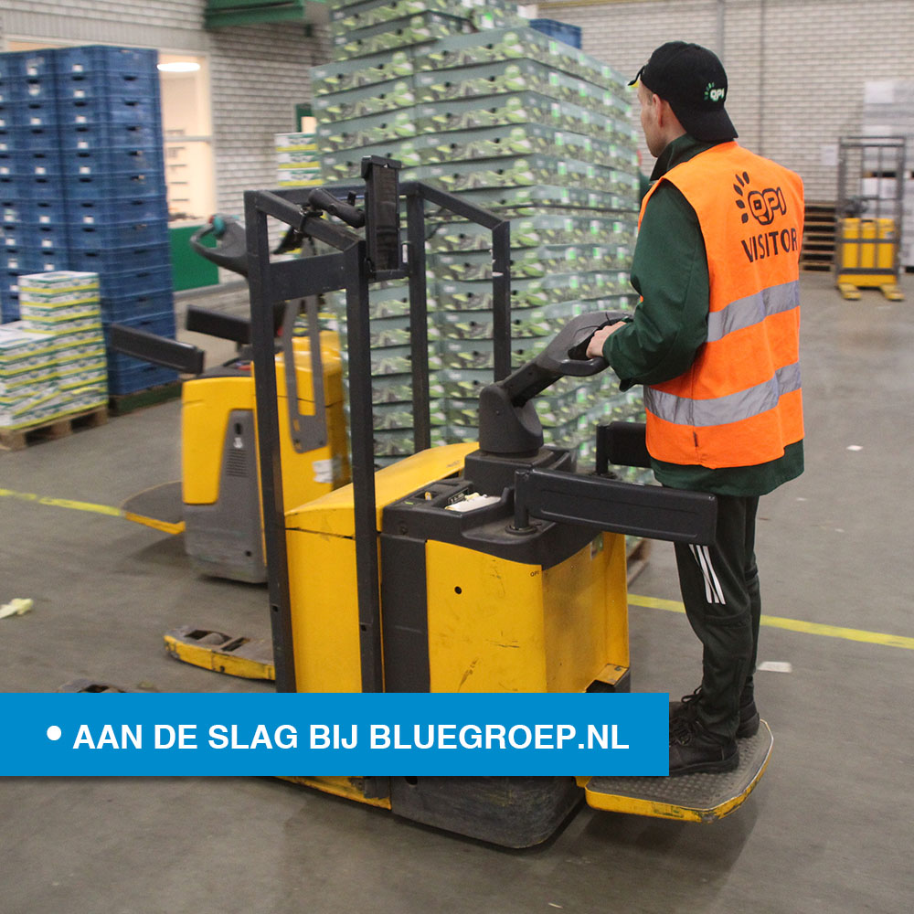 BlueGroep's tweet image. VACATURE: EPT chauffeur/Orderpicker in De Lier. Bekijk de #vacature op bluegroep.nl/vacatures/ept-… #blue #bluegroep #DeLier #werk