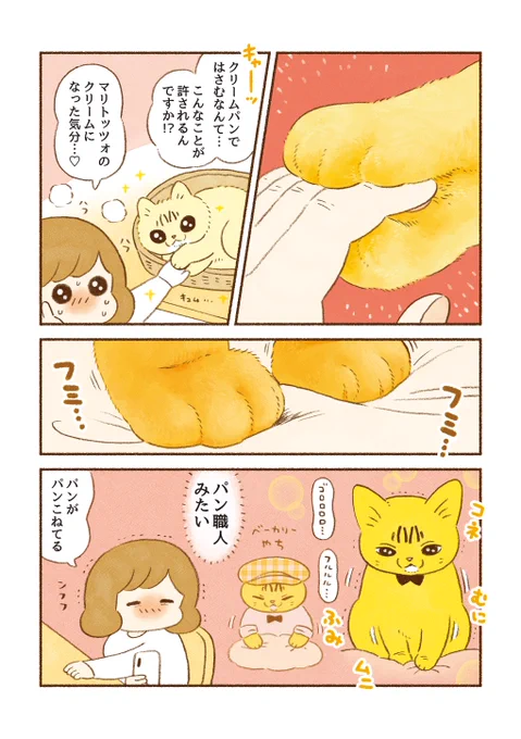 猫エッセイ「おててパワー」 