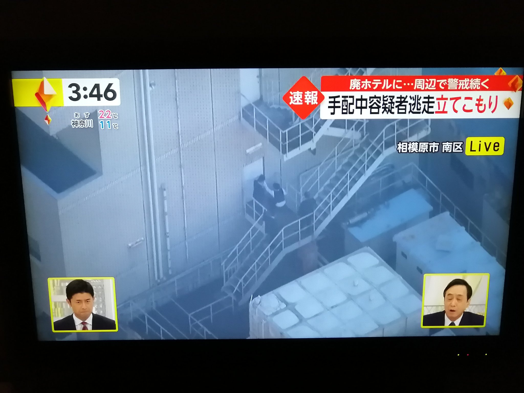 ペットロスを乗り越える猫を助ける