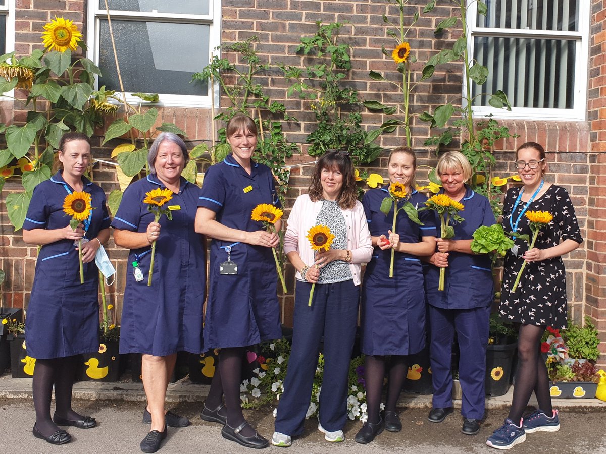 Our Heart Failure team have been growing sunflowers at Clementhorpe Health Centre 🌻 The team have brought joy to patients and staff while raising awareness of heart failure and @pumpinghearts. Read more ➡️ bit.ly/3SjpaYB