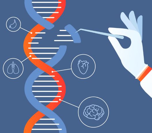 On World CRISPR day, don’t forget to test your gene edited clones for genomic abnormalities! Find out why and how to go about it on the link below: 
stemgenomics.com/news/crisprcas… #genomicstability #stemcells #iPSC