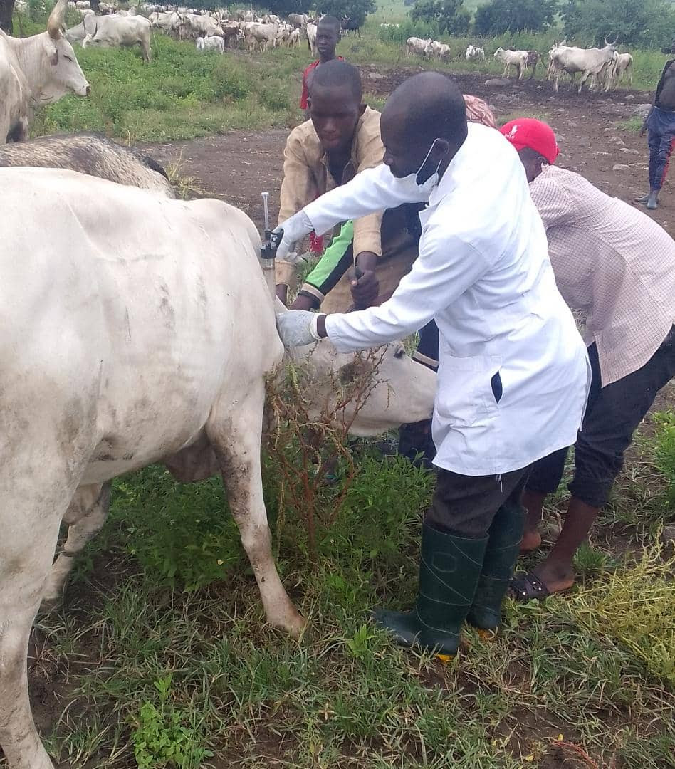 sahelconsulting's tweet photo. The Animal Health intervention of the Advancing Local Dairy Development Program in Nigeria (#ALDDN) is focused on delivering top-notch clinical & non-clinical services for integrated smallholder dairy #farmers across the ALDDN implementing states.
#sahelproject https://t.co/nXG1KsAMfD