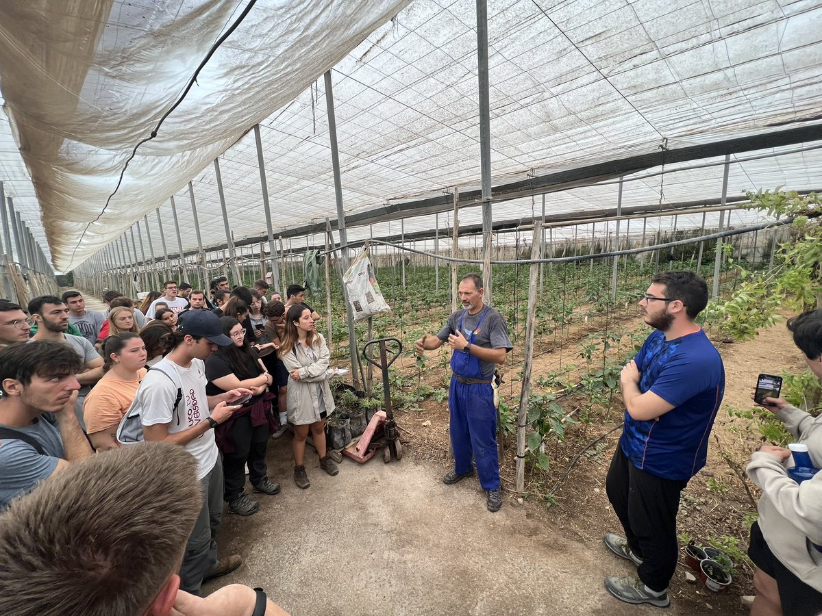 ElisaOtra's tweet photo. Parada 7️⃣: fascinadas escuchando cómo gestiona Jesús su invernadero integrando ovejas, control biológico más allá de la agricultura integrada y gestión de suelos con lombricompostaje y cultivos microbianos. Un ejemplo de trabajo CON la vida en lugar de CONTRA. @Fac_CienciasUCO https://t.co/eHvRDB0KGI