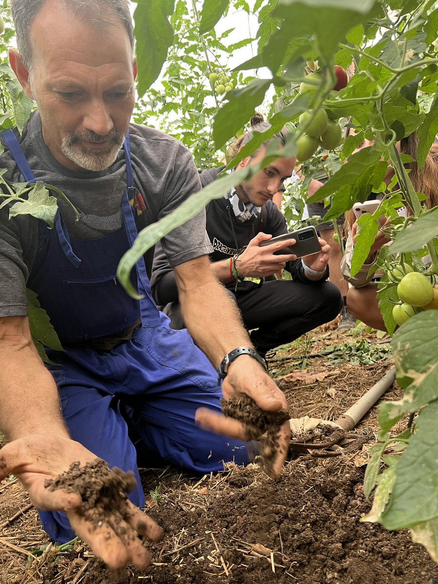 ElisaOtra's tweet photo. Parada 7️⃣: fascinadas escuchando cómo gestiona Jesús su invernadero integrando ovejas, control biológico más allá de la agricultura integrada y gestión de suelos con lombricompostaje y cultivos microbianos. Un ejemplo de trabajo CON la vida en lugar de CONTRA. @Fac_CienciasUCO https://t.co/eHvRDB0KGI
