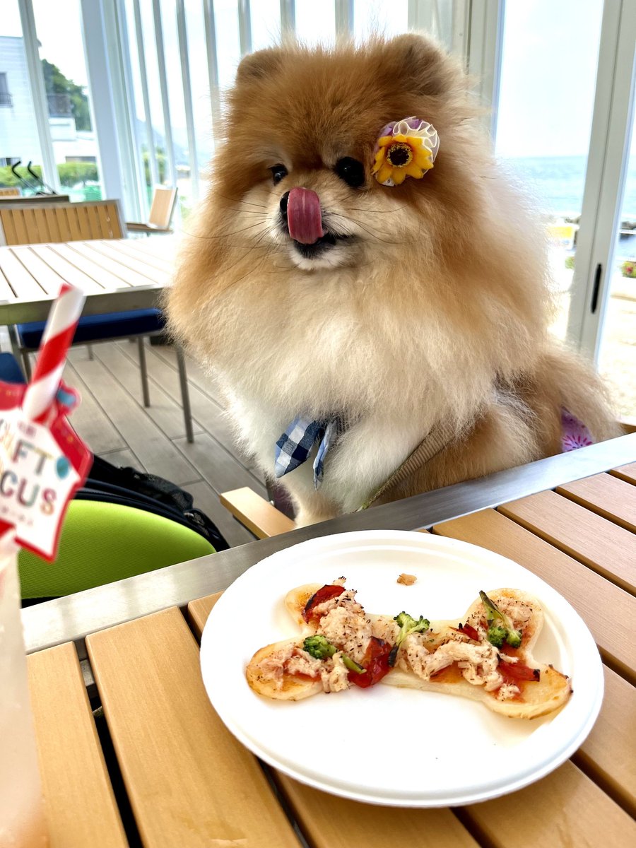 moaomfu's tweet photo. 早く食べよー😋
#淡路島西海岸 #淡路 #カフェ #クラフトサーカス #パソナ #craftcircus https://t.co/W9MNvFx9pG
