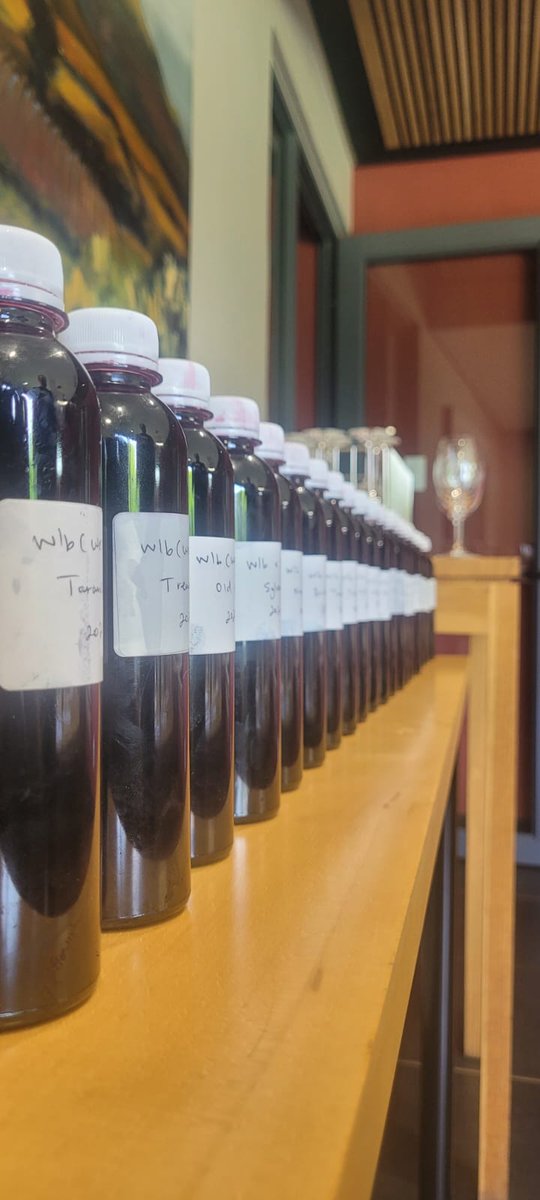 Thelema Cab Sauv 2021 blending session. The vintage is looking amazing! #cabernetsauvignon #winelovers #stellenbosch #2021