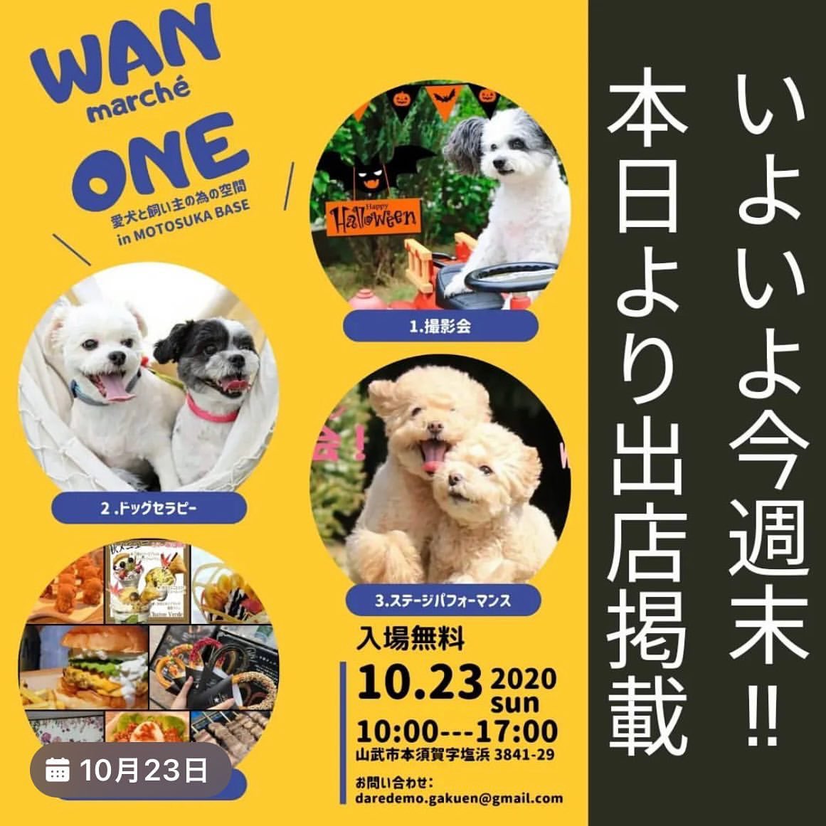 ohana_aopoi's tweet photo. 製作中✂️🧵🪡
イベントでも人気のあった生地で、お声の多かったサイズやダックスサイズを作っています🐶
タンクトップやワンピースもやってみよう🧵🪡

あと３日ー‼️
頑張れ私たち😂

23日の
WAN ONE Marché ～MOTOSUKA～
に出店します。

お待ちしてます🐶💕🐾

#ハンドメイド犬服 #MOTOSUKABASE https://t.co/AXCiQb4LfN