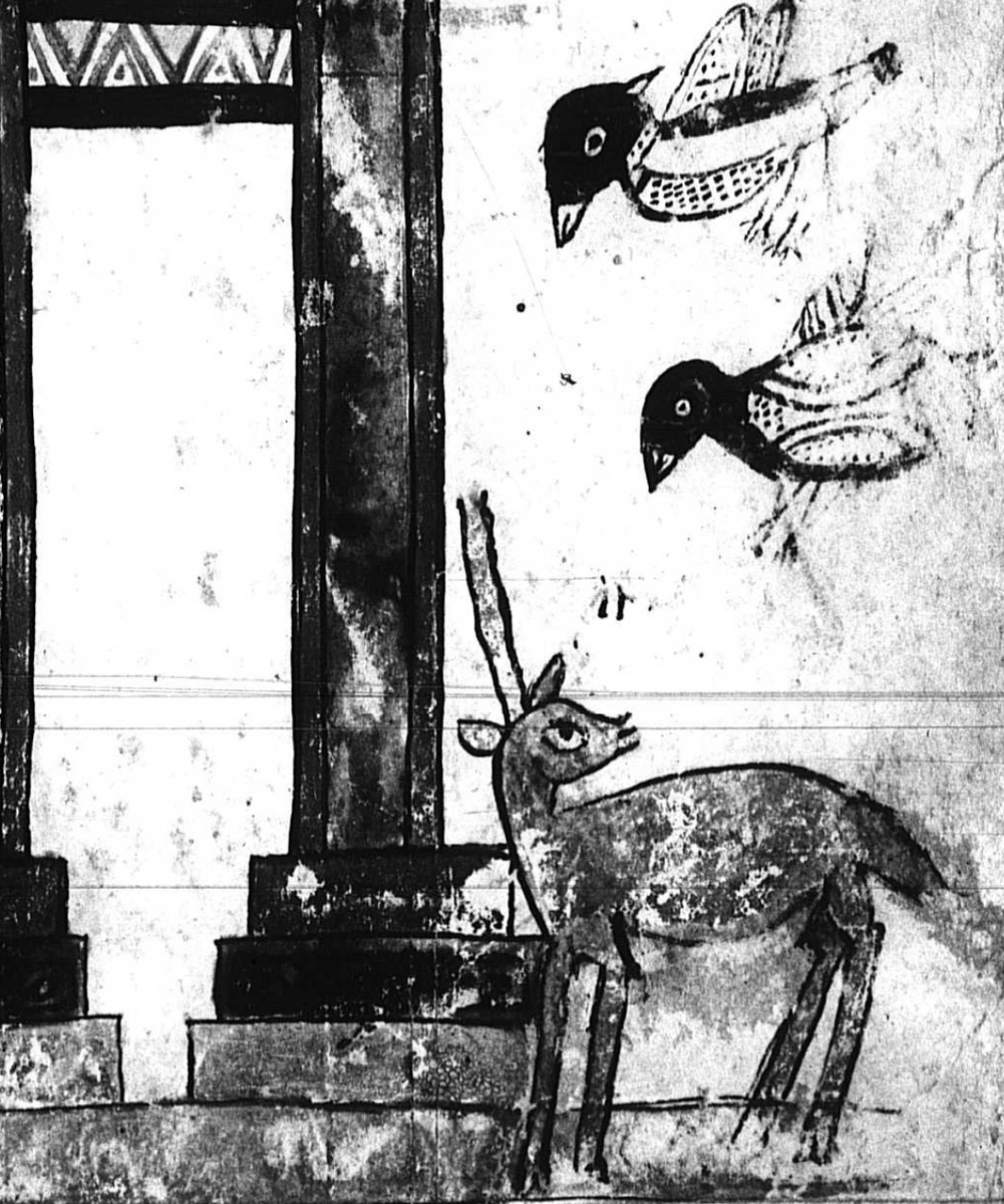 ArtEthiopic's tweet photo. A lovely bābulā being harrassed by nasty birds #babula #ባቡላ #BirdTwitter #angrybirds #manuscriptbirds https://t.co/z3X77hhXb3