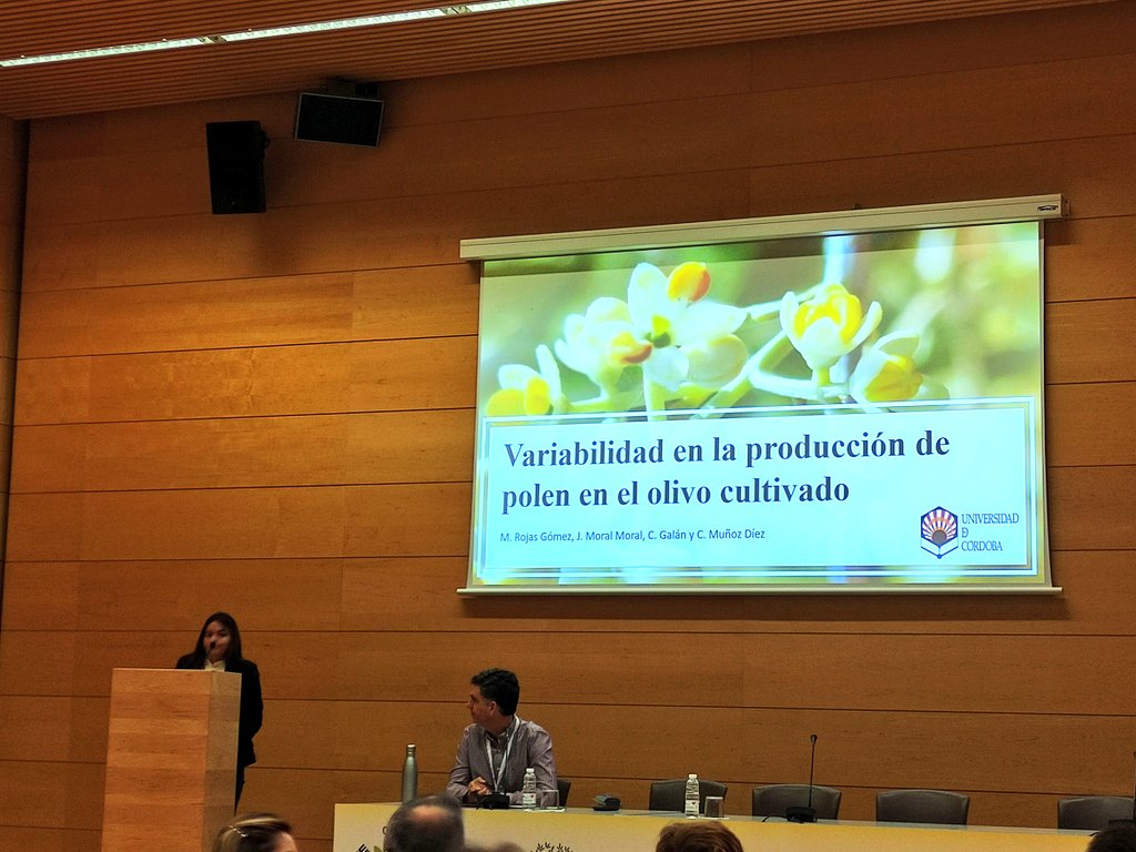 Frangoga's tweet image. Vaya trabajo tan interesante nos acaba de presentar @Mercesrg, doctoranda en @AgronomiaUCO, en las VII jornadas nacionales de olivicultura de la @SECHorticolas. #Rambleñ@sHaciendoCosasChulas