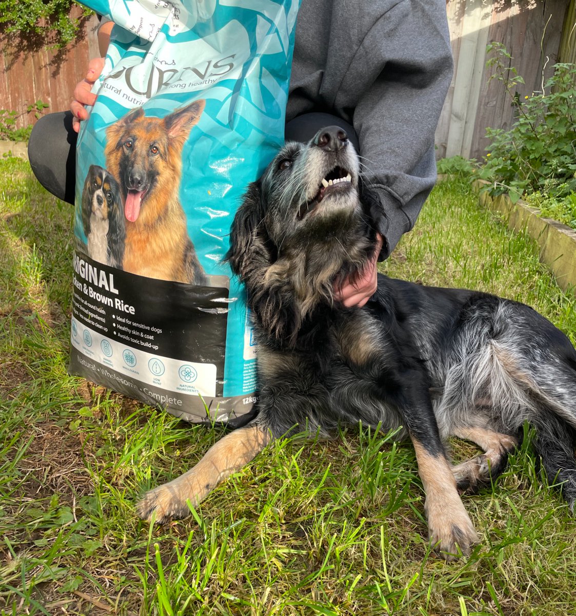 The Pettifor Trust (@pettifortrust) on Twitter photo Meet Izzy and Ruby. Two adorable Sprollies supported through our 'Keeping People and Pets Together' Project. Supported by <a href="/burnspetfood/">Burns Pet Nutrition</a>
#backedbyburns #communitysupport #animalwelfare #poweredbyburns Meet Izzy and Ruby. Two adorable Sprollies supported through our 'Keeping People and Pets Together' Project. Supported by <a href="/burnspetfood/">Burns Pet Nutrition</a>
#backedbyburns #communitysupport #animalwelfare #poweredbyburns