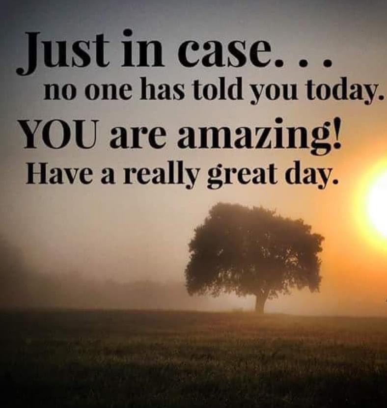 Carol Stehm (@carolstehm) on Twitter photo 