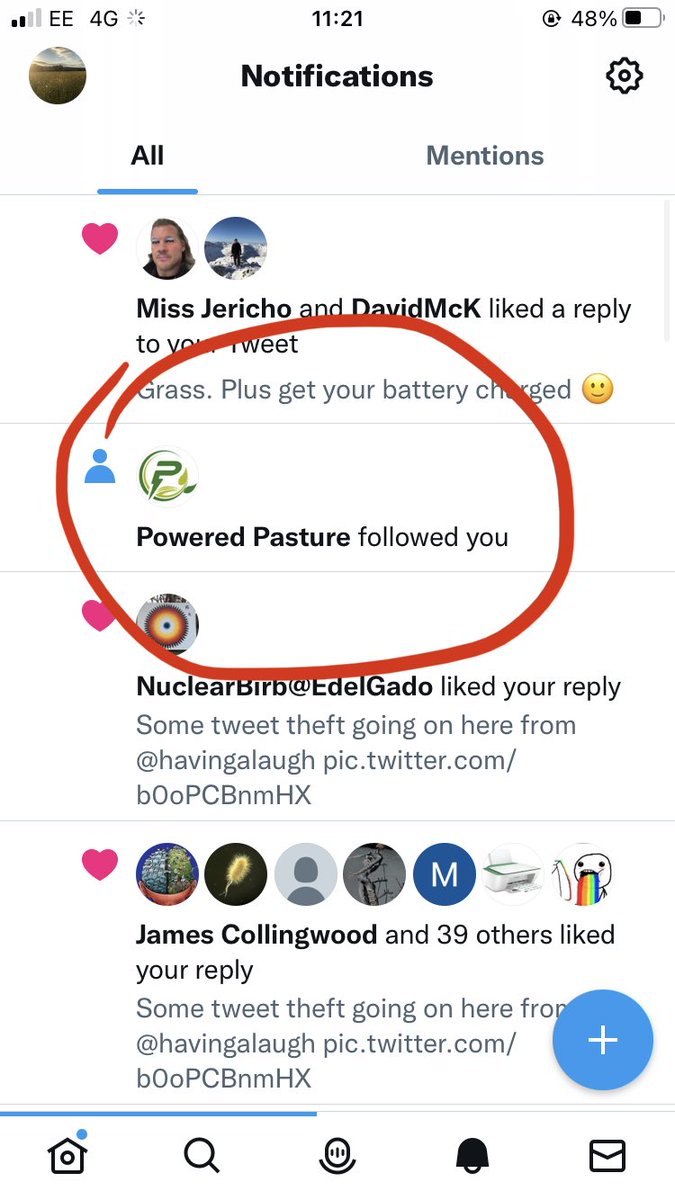 EdDickson7's tweet image. ⁦@PoweredPasture⁩ hope you like tweets about grazing mixed in with tweets about how terrible the Tories are 😆