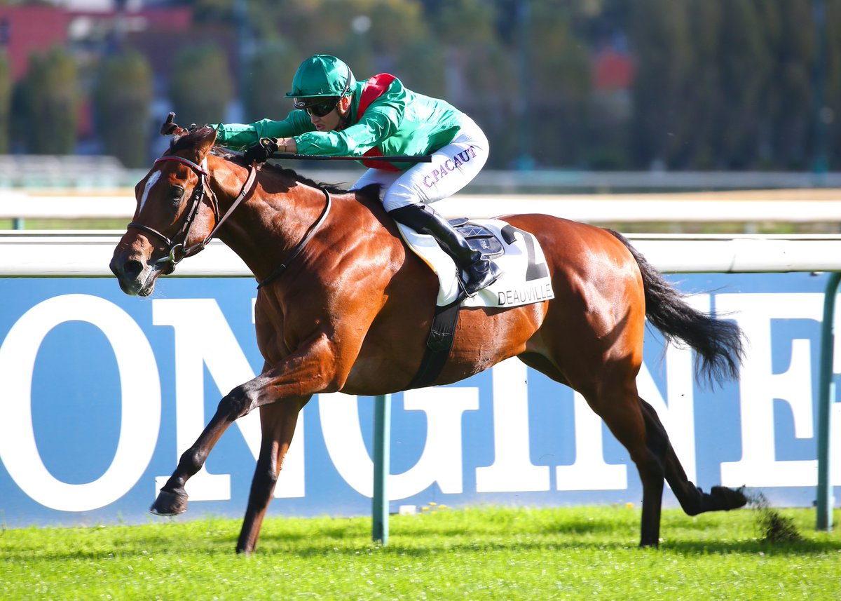 AgaKhanStuds's tweet photo. 🥇 Another nice 2yo winner @fgdeauville as #Valimi impresses on debut! The Prix de Saint-Désir has been won in the past by #Zarak & #Erevann.
Valimi is out of #Valdaya, a half-sister to Gr.1 winner #Valyra & Gr.2 winner #Valirann. This is also the renowed 'V' family of #Vadeni. https://t.co/okORycj4Z7