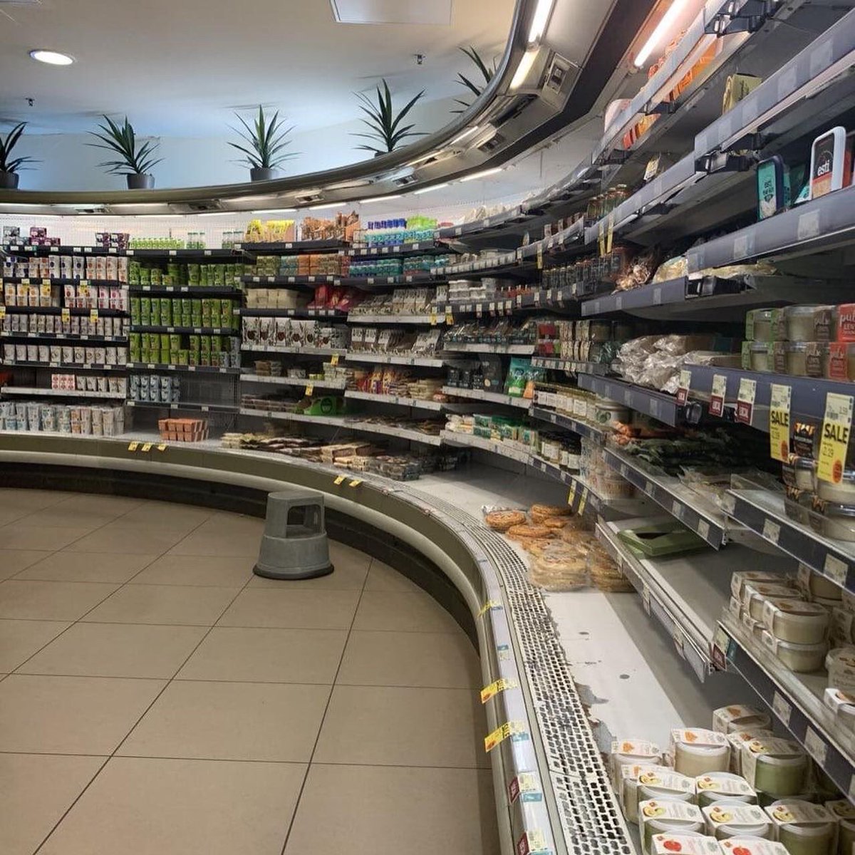 An95261658's tweet photo. Shopping in supermarkets is really a wonderful way to resist the boring world. Pushing a cart with a crash, strolling aimlessly and calmly, as if every snack, every fruit and vegetable is telling you to continue to love, live and eat well ...#go shopping #Britain https://t.co/DaKeyvL5jF
