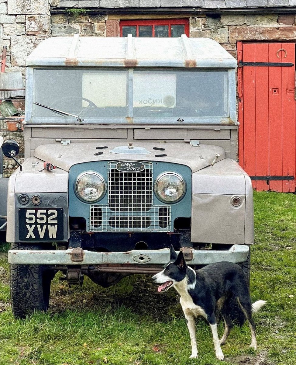 Paintman tweet media