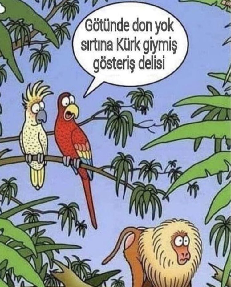 Dün akşamki Galatasaray Kastamonu macından sonra GS lılar 😂😂