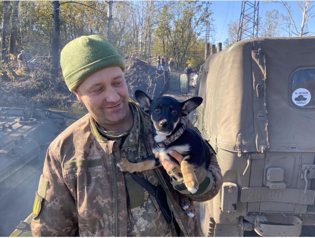 UkrARMY cats & dogs tweet media