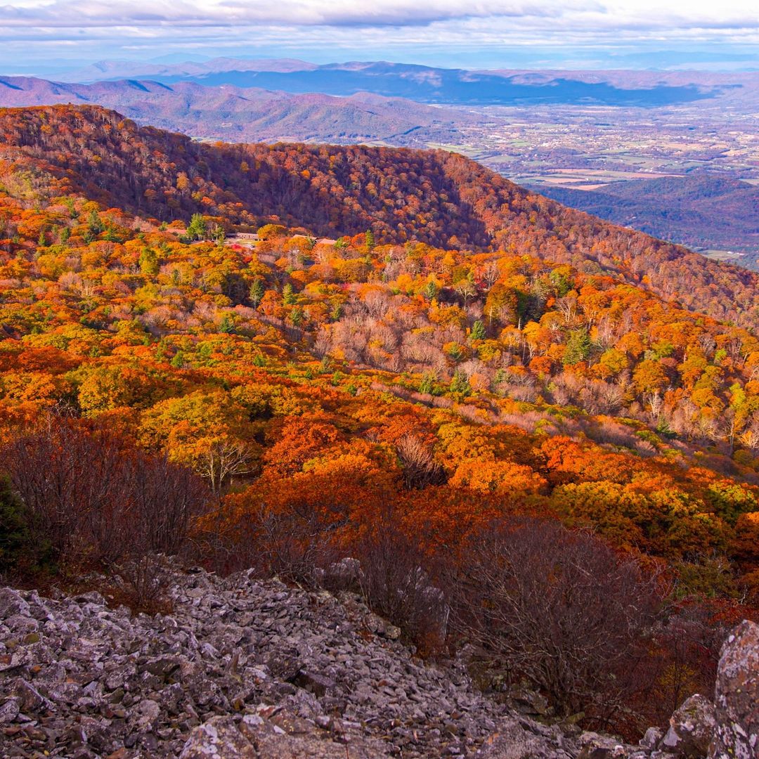 7News DC tweet media