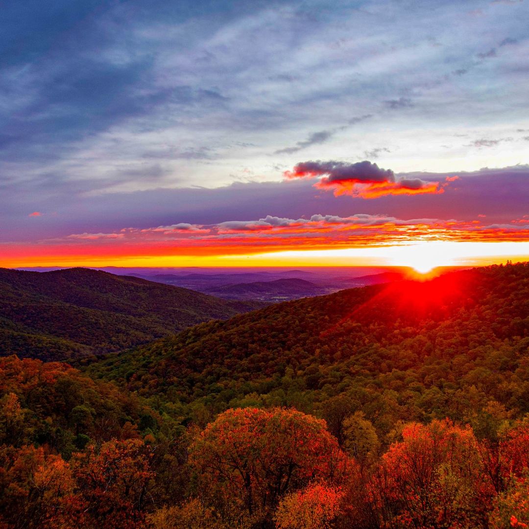 7News DC tweet media