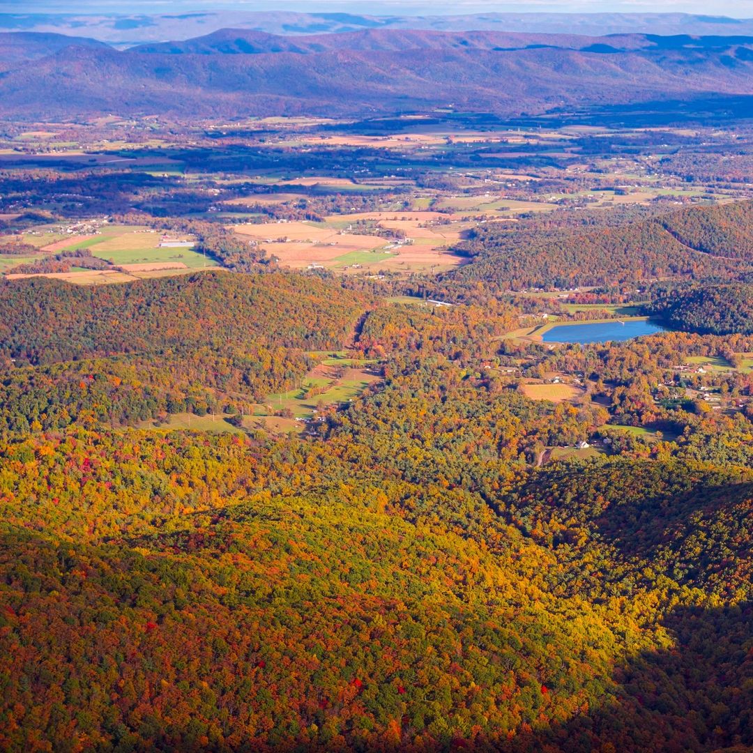 7News DC tweet media