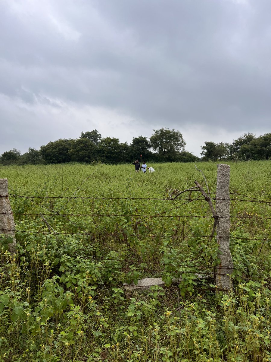 rajas2121's tweet photo. @KTRTRS Sir i am 34 yrs 1st Gen entrepreneur.I have been allotted land frm TSIIC 2acres at Tunkibollaram. We paid the amount with interest for delayed payment and finally sale agreement done. Surprisingly wen I went for survey found land is under encroachment.Need ur support pl. https://t.co/3qOr06TLjM