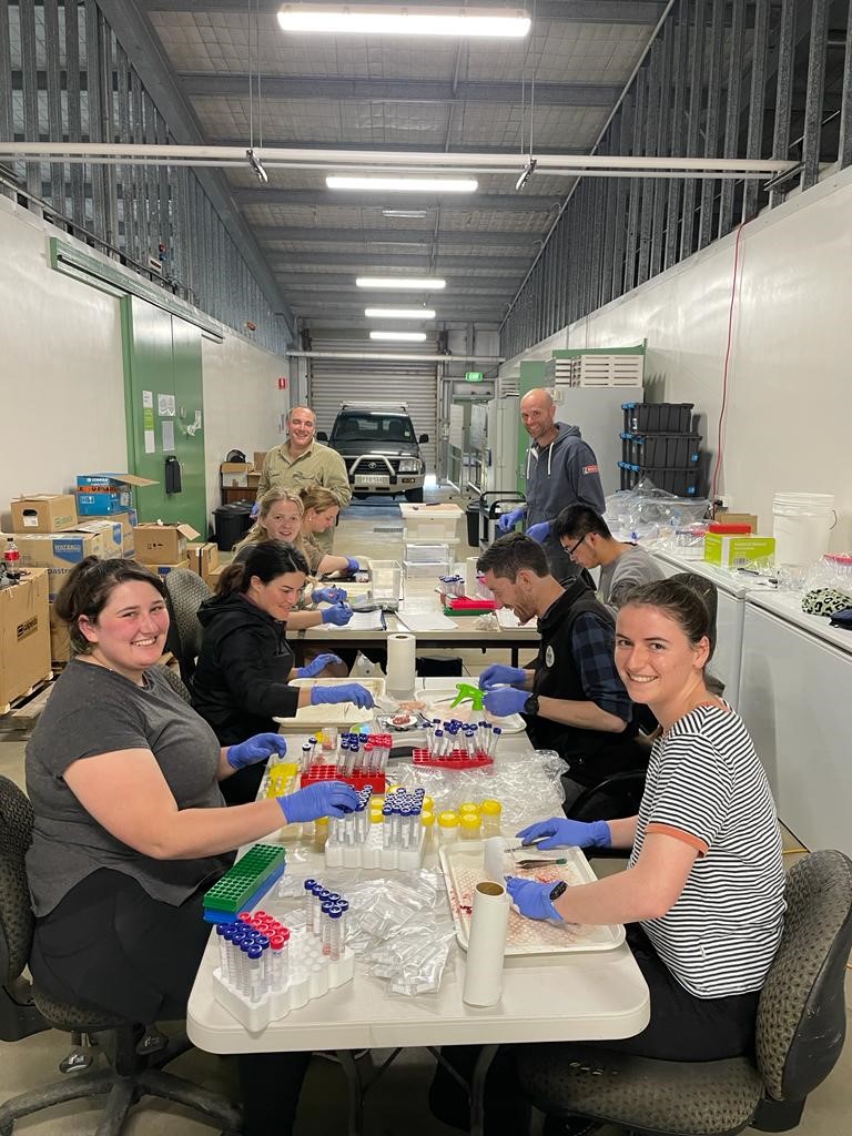 Many hands (and smiling faces) make light work! Awesome effort by the team for end of trial sampling for <a href="/BennyYa15396964/">Benny Yang</a>'s PhD project. 
Can't wait to see some exciting results!
🐟🐟🐟
@deakinresearch @DeakinSEBE
#aquaculture  #havefuninfishnutrition #PhDlife #salmon #seafood