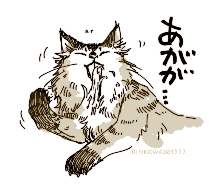2号くんの毛が本気をだし始める気温になってきた 