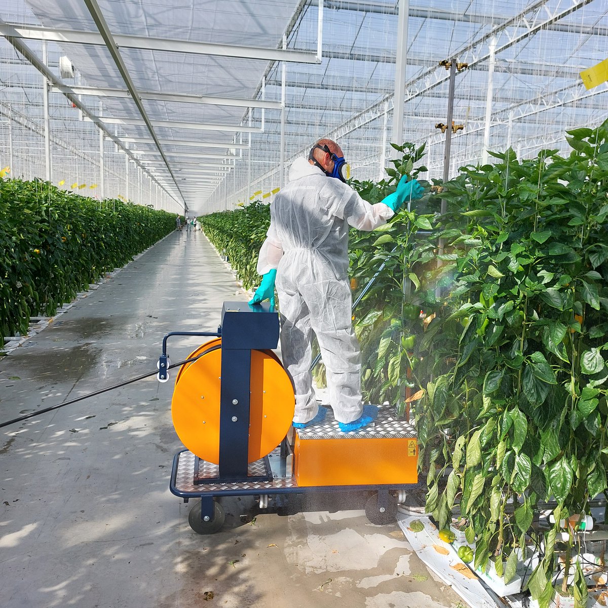 The BeMatic EasySpray of <a href="/BergHortimotive/">Berg Hortimotive</a>  is an entry-level sprayer, developed for markets where the use of (fully) automatic spraying equipment is not feasible, but where there is still a need for a good quality sprayer.

berghortimotive.com/en/crop-protec… 

#cropprotection #easyspray