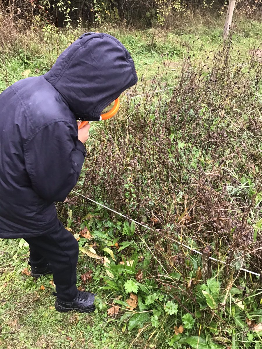 Mrs.Devers (@liz_devers) on Twitter photo Class 1 and 3 are having an amazing (and wet) day <a href="/RSPBSandwell/">RSPB Sandwell Valley</a> <a href="/DevonshireJun/">Devonshire Junior</a> <a href="/VicAcademies/">Victoria Academies Trust</a> #learningoutdoors #exploringourlocalenvironment Class 1 and 3 are having an amazing (and wet) day <a href="/RSPBSandwell/">RSPB Sandwell Valley</a> <a href="/DevonshireJun/">Devonshire Junior</a> <a href="/VicAcademies/">Victoria Academies Trust</a> #learningoutdoors #exploringourlocalenvironment