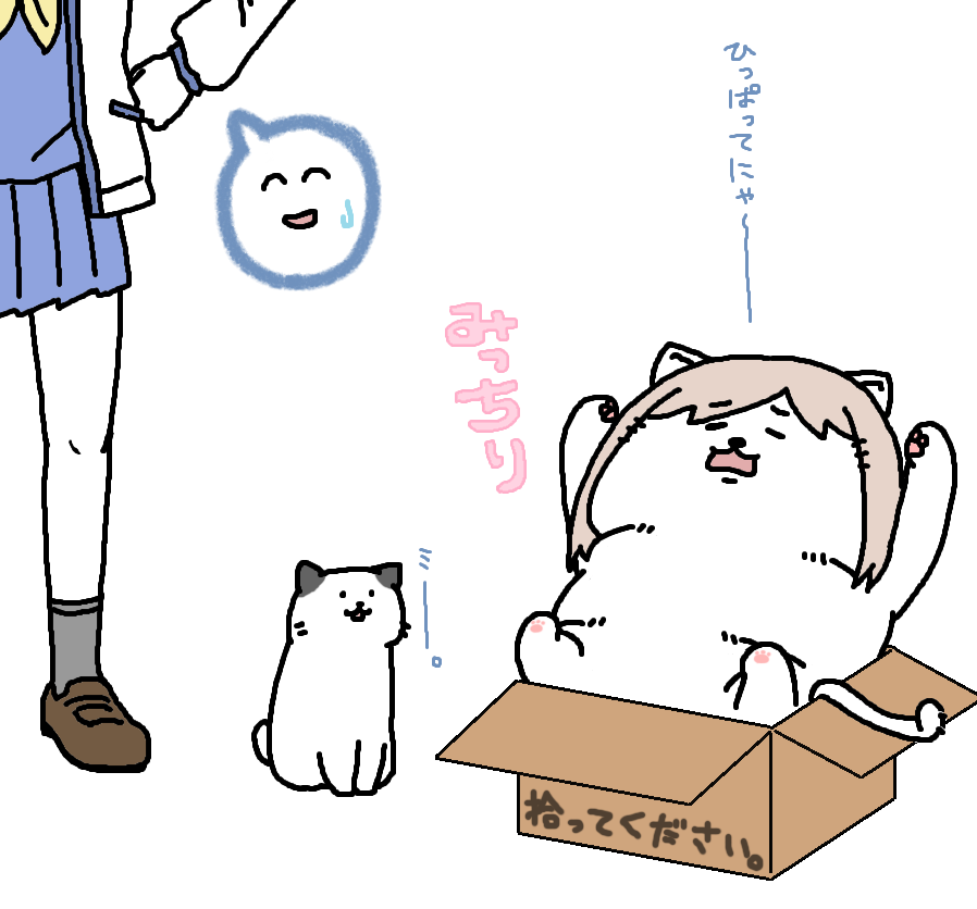 【日刊たのしい前川】
事務所で可愛い猫ちゃんと遊んでいたら、箱から出られなくなっちゃった前川 