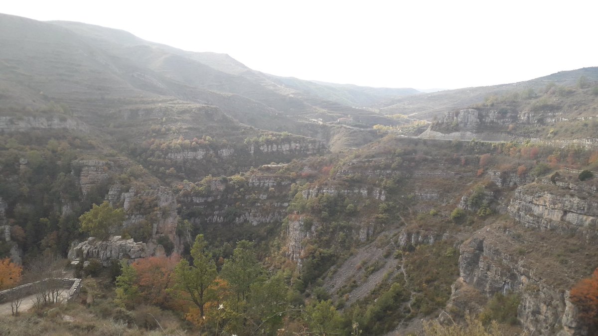 LIFE MIDMACC tweet media