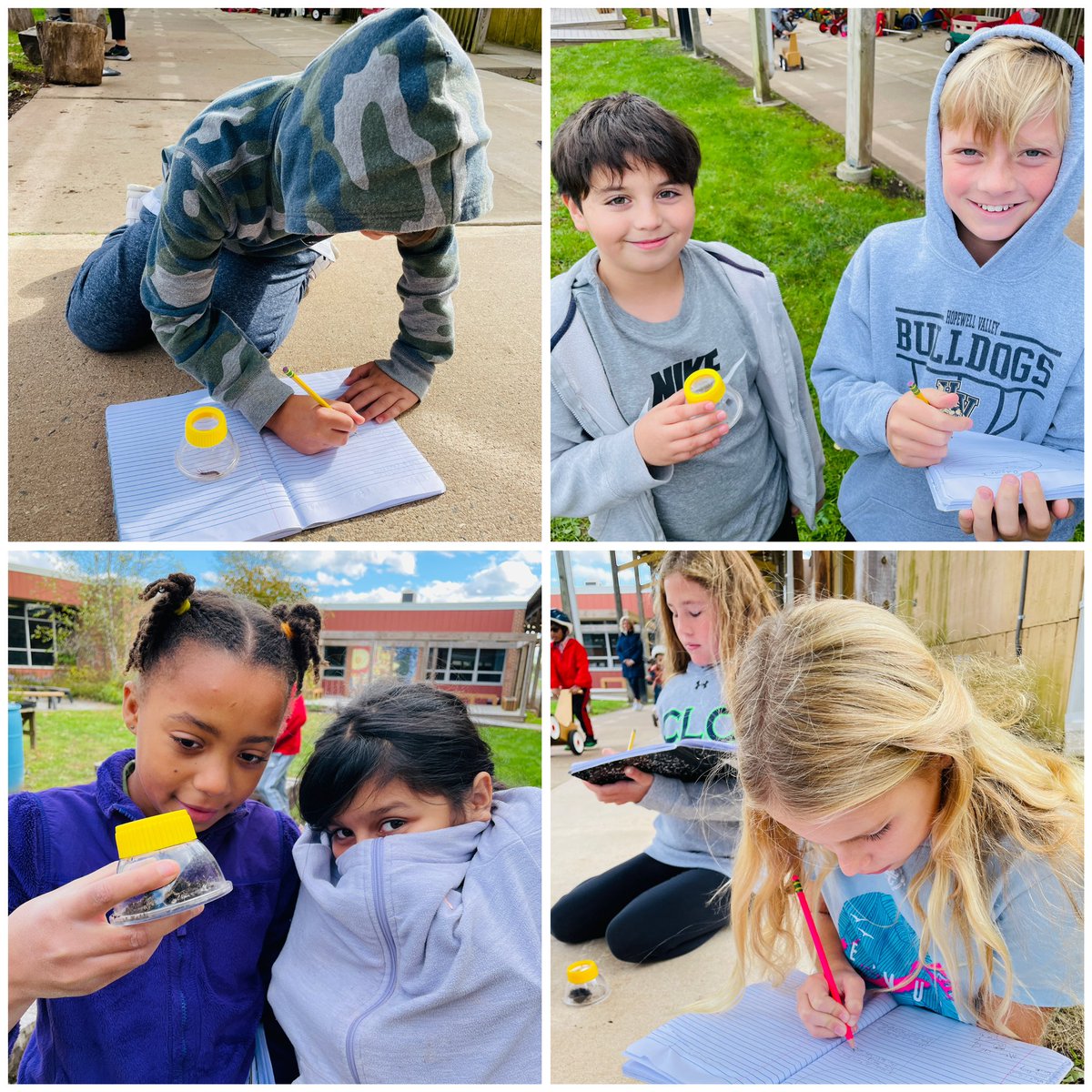 ProfKindred's tweet photo. Flippin’ logs, looking for decomposers! #Science #fifthgrade #beartavernpride #btpride #decomposers https://t.co/TPrjUSTPyP