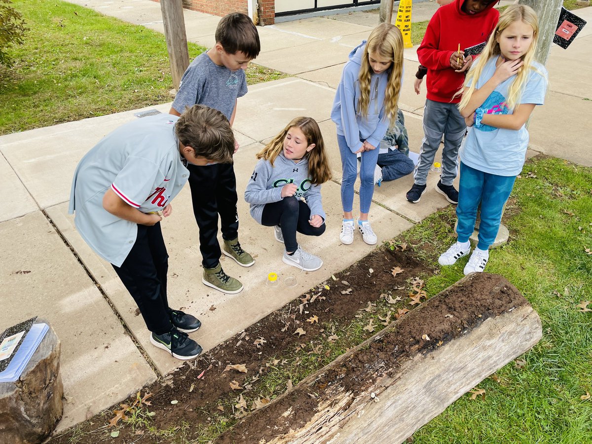 ProfKindred's tweet photo. Flippin’ logs, looking for decomposers! #Science #fifthgrade #beartavernpride #btpride #decomposers https://t.co/TPrjUSTPyP