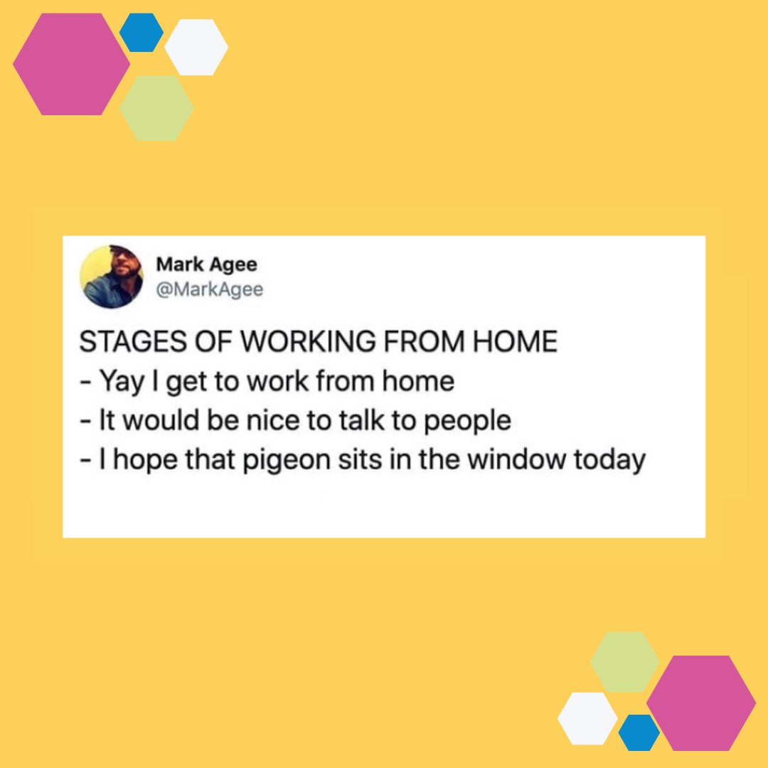 HiveWakefield's tweet photo. Work-from-homers - which stage are you at? 😂

If you fancy some quiet (or chatty) company, or want a change of scenery, our coworking space sounds pretty perfect for you! https://t.co/1LsnE8A6W3