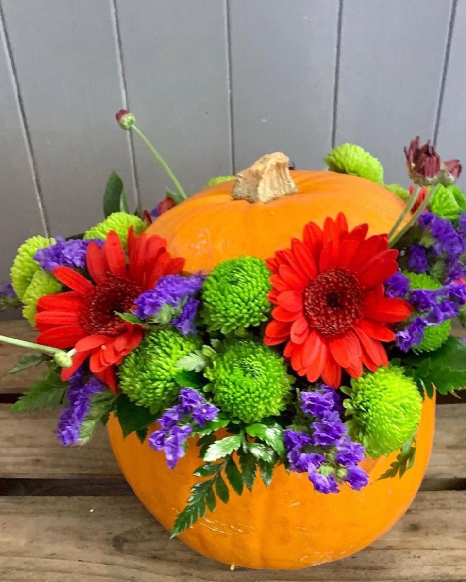 RosepetalsF's tweet photo. It’s Facebook competition time 🎃 
I think we all need cheering up !
On this gloomy wet day 😆🎃follow on Facebook 🎃
Like share and tag 3 people for entry into our halloween 👻 competition. The winner will receive one of our pumpkin displays 💐winner notified 29/10/22 https://t.co/7d5H2UQdbD