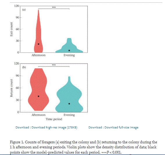 AnimBehSociety's tweet photo. In a field experiment, it has been shown that "Bumble bees are facultative evening foragers"
also "Light intensity is a key limiting factor for pollen collection"
A study by Katherine E. Chapman et al.
#socialinsect #visualecology
For more info:
https://t.co/WlQBLMNh3F https://t.co/0Km5xRVq94