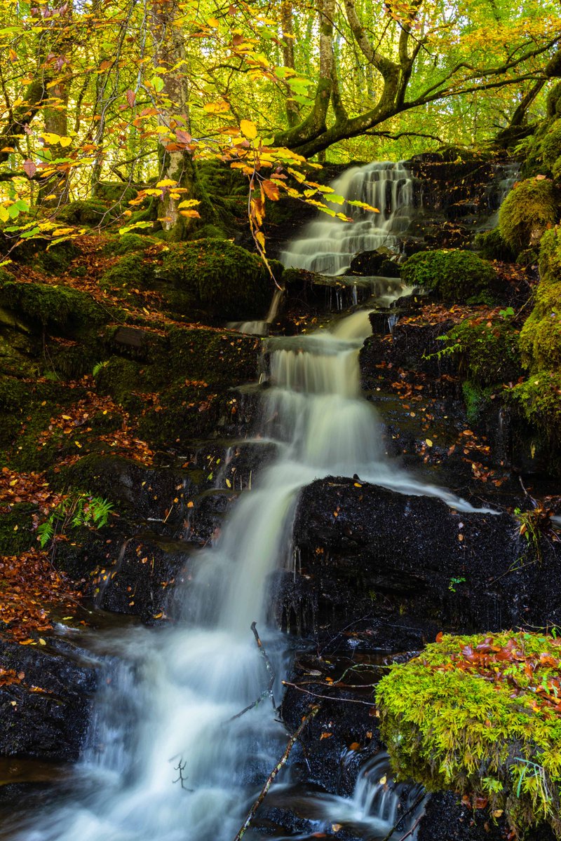 fifeexplorer's tweet photo. The Falls of Moness and the falls at the #birksofaberfeldy all in full flow this week under the Autumn canopy... #OutAndAboutScotland #outdooradventures #beautifulscotland #scotlandshots #countrywalks #Scotlandisnow https://t.co/pi4dlQp0bL