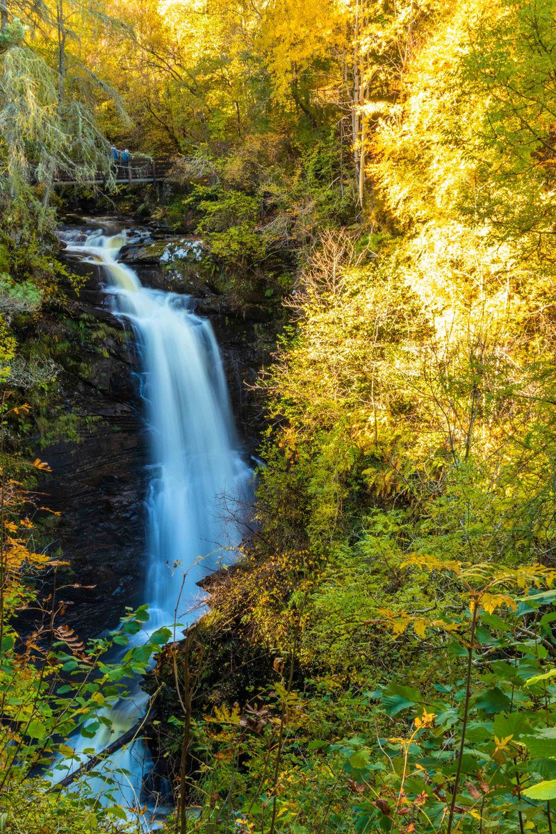 fifeexplorer's tweet photo. The Falls of Moness and the falls at the #birksofaberfeldy all in full flow this week under the Autumn canopy... #OutAndAboutScotland #outdooradventures #beautifulscotland #scotlandshots #countrywalks #Scotlandisnow https://t.co/pi4dlQp0bL