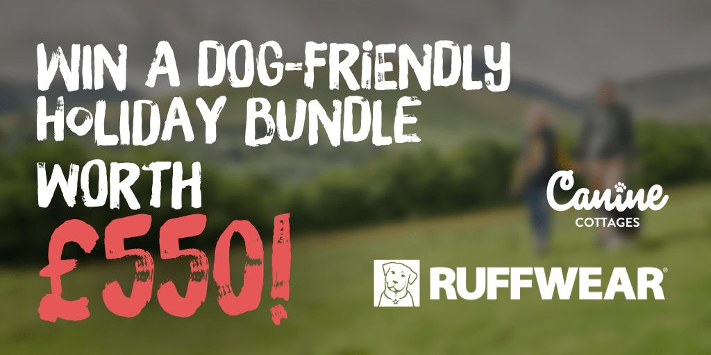 We've teamed up with <a href="/CanineCottages/">Canine Cottages</a> to give one lucky #winner a holiday and accessories bundle worth £550! 🐾🏠🐶

Click the link below to enter!
e.caninecottages.co.uk/p/45WI-OOG/win…

#giveaway #win