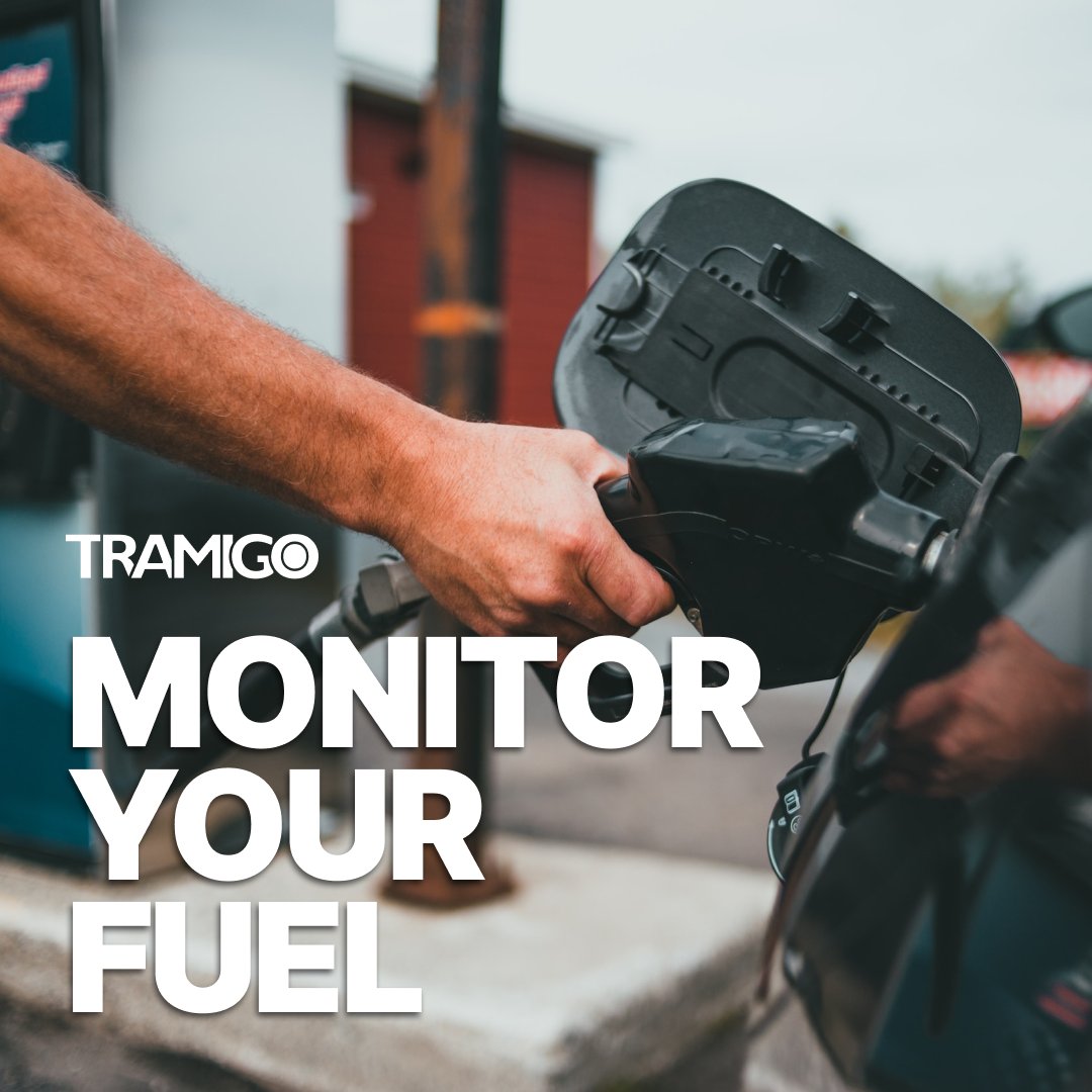 Tramigo Ltd tweet media