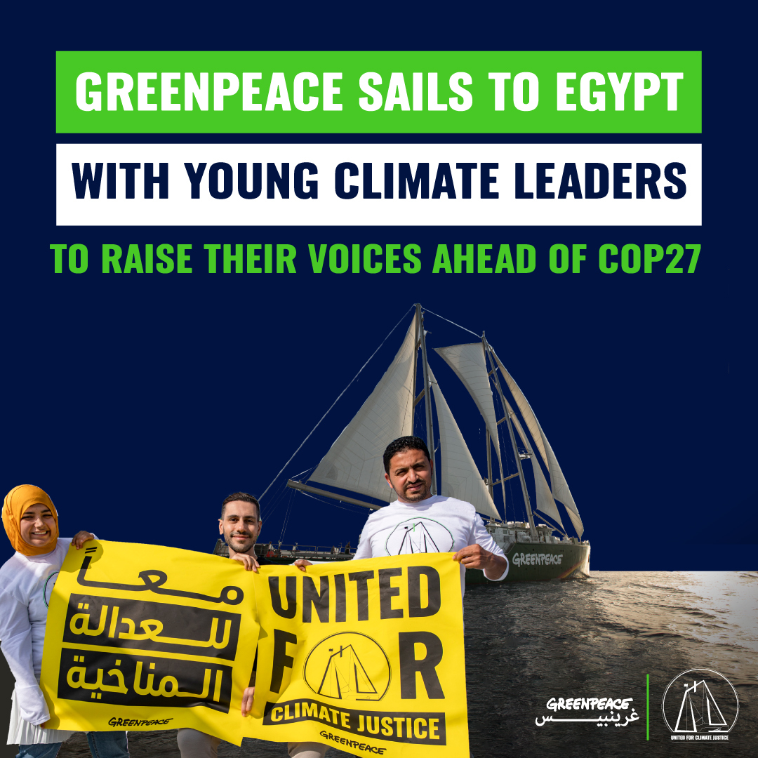 Greenpeace International tweet media
