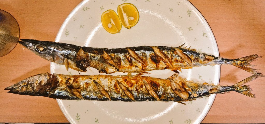 「ビッグ秋刀魚ああ 」|いぐあな編集長【skeb募集中！】のイラスト