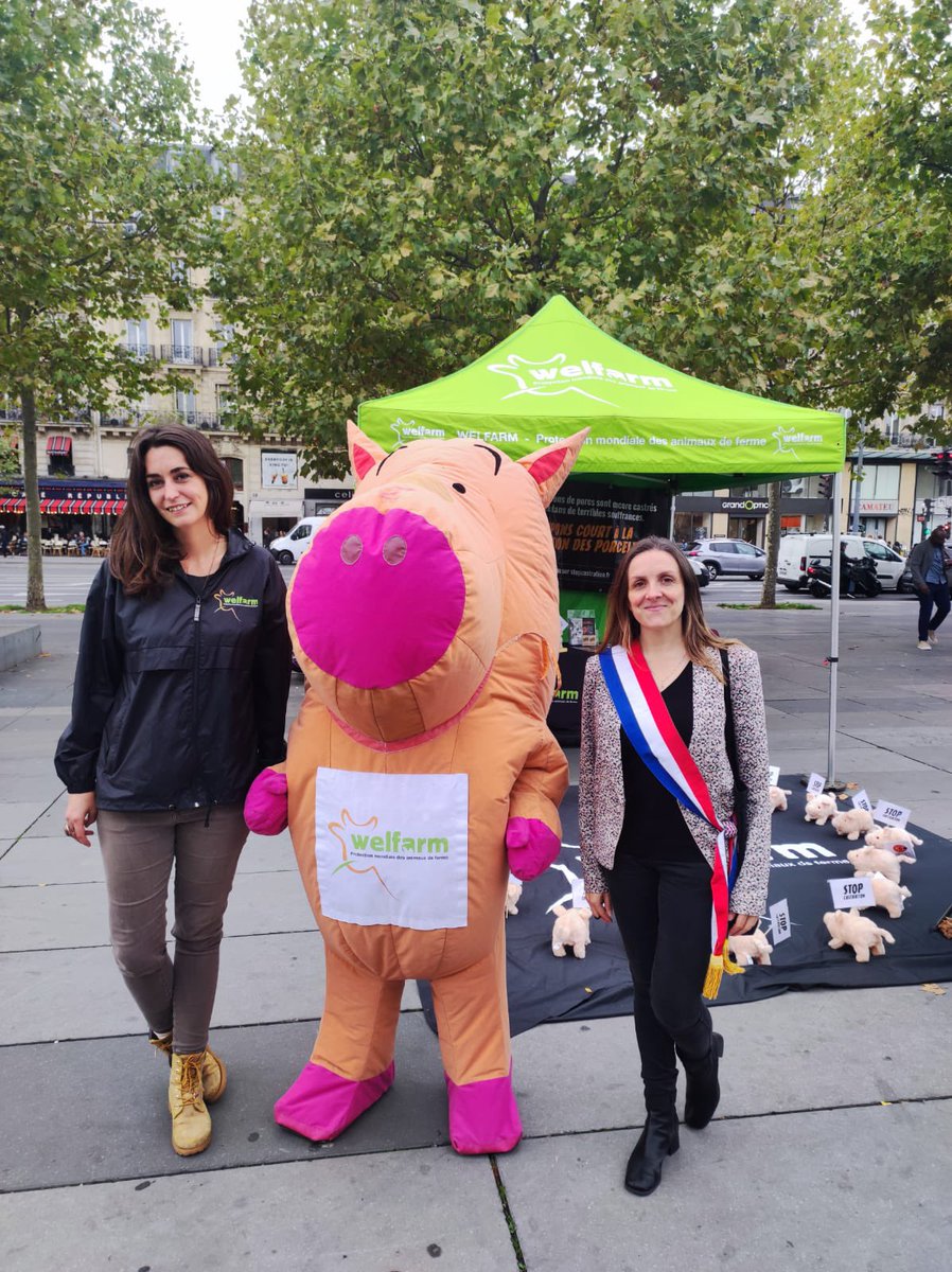 Welfarm's tweet photo. Merci également à la Mme la député  @Anne_Stambach pour son soutien ! 🐷
#StopCastration https://t.co/eBknJcddMM