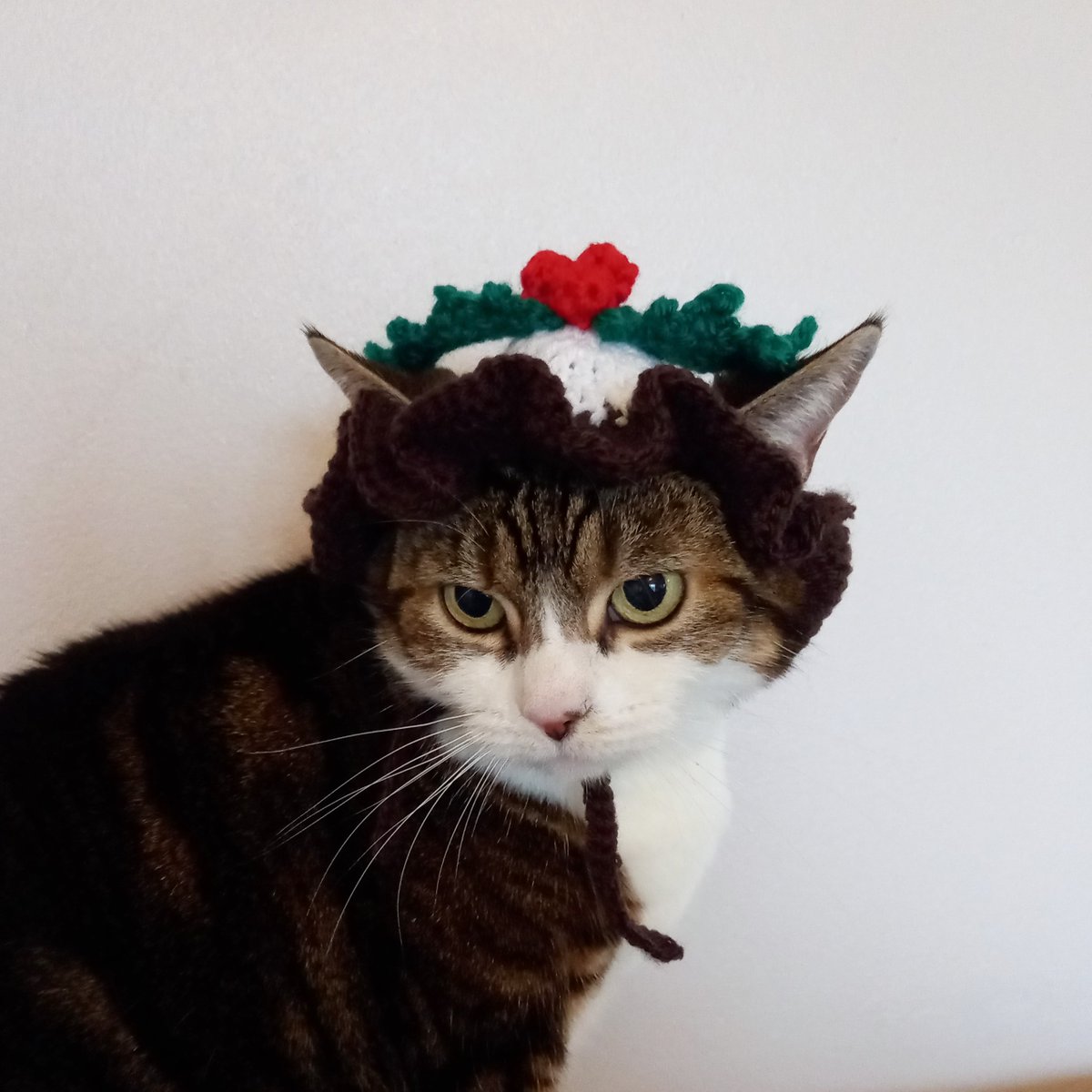 Lavaridge Designs on Twitter "RT CathCrochets Christmas Pudding Cat